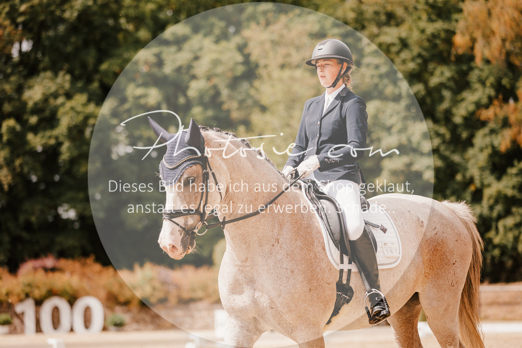 3I6A6165 | Stimmungsvolle Portraits und Reitsportfotografie im Ruhrgebiet und im Münsterland.

Pferdefotografie, Hundefotografie, Tierfotografie, Reportagen, Portraits von Tier und Mensch, Turnierfotografie in Bochum, Recklinghausen, Marl, Haltern am See, Dülmen.. - Realisiert mit Pictrs.com