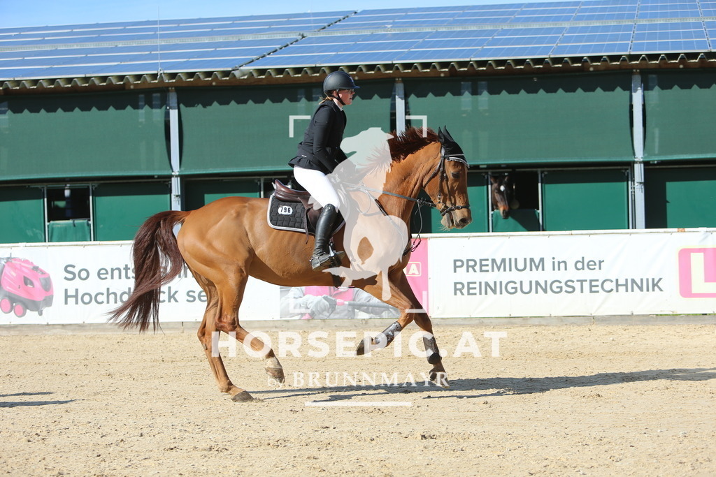DL2Q1202 | Willkommen bei Brunnmayr - Design & Fotografie – Ihrem Spezialisten für Reitturniere und Pferdeveranstaltungen in Oberösterreich, Salzburg und Bayern! Seit über 17 Jahren sind wir leidenschaftlich dabei.