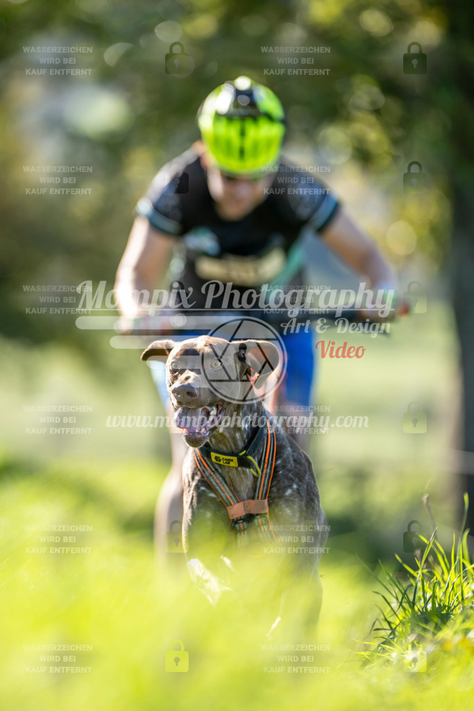 MompixPhotography_20TSB_E3_DS1-25 | PayLife
