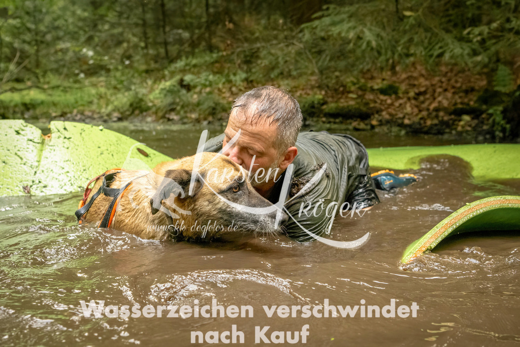 1410_ZZ91231-Bearbeitet | kk-dogfotos
