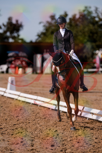 2026_10_03_Siefer-Hof_133220_Z81_88671008 | Professionelle Reitsport-, Turnier- und Eventfotografie von Robert Broda. Galerien mit ausgewählten und bearbeiteten Bildern direkt online ansehen und bestellen.