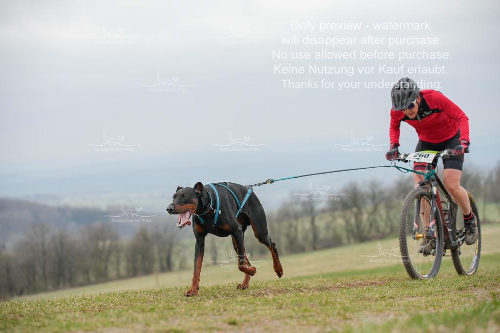 BikeSA-346 | stephaniefillaphotographie - Realisiert mit Pictrs.com