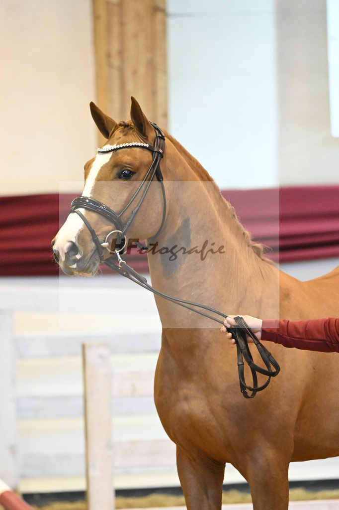 Kat-Nr. 14 v. Cizero Z_Zurich_66221144 | hf-fotografie - Realizzato con Pictrs.com