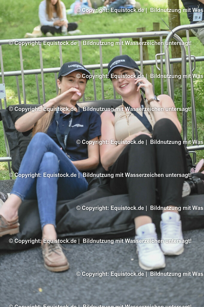 D78_3451 | equistock