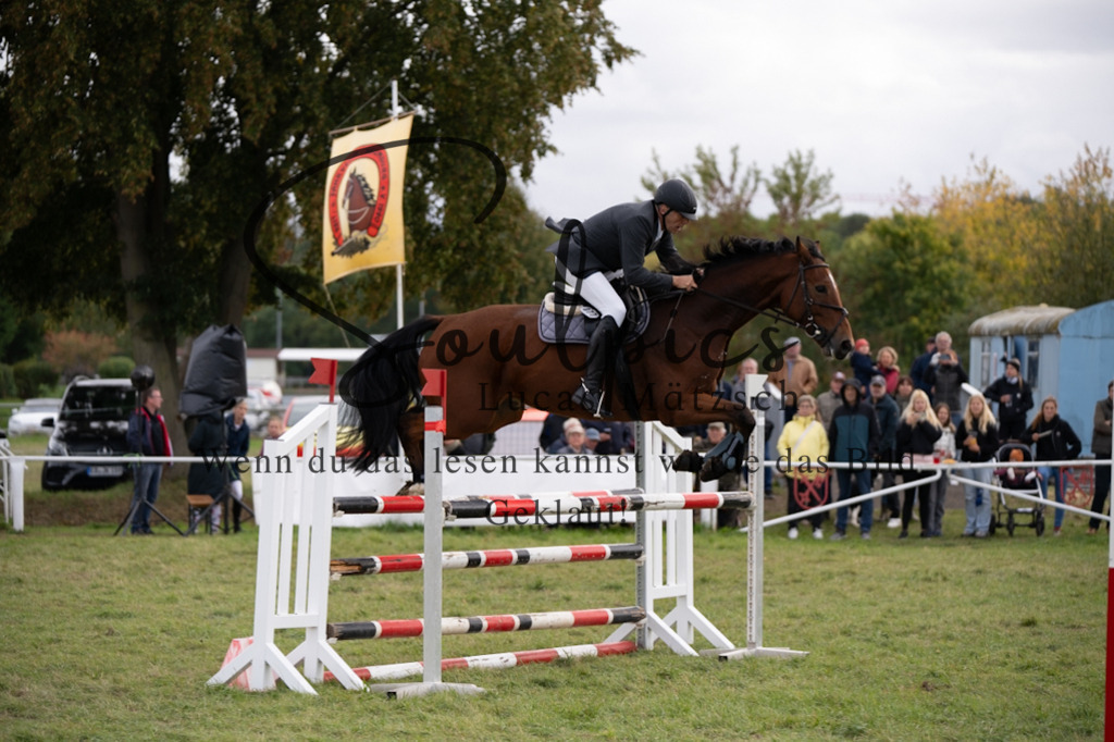 A7V07351 | Pferdefotograf