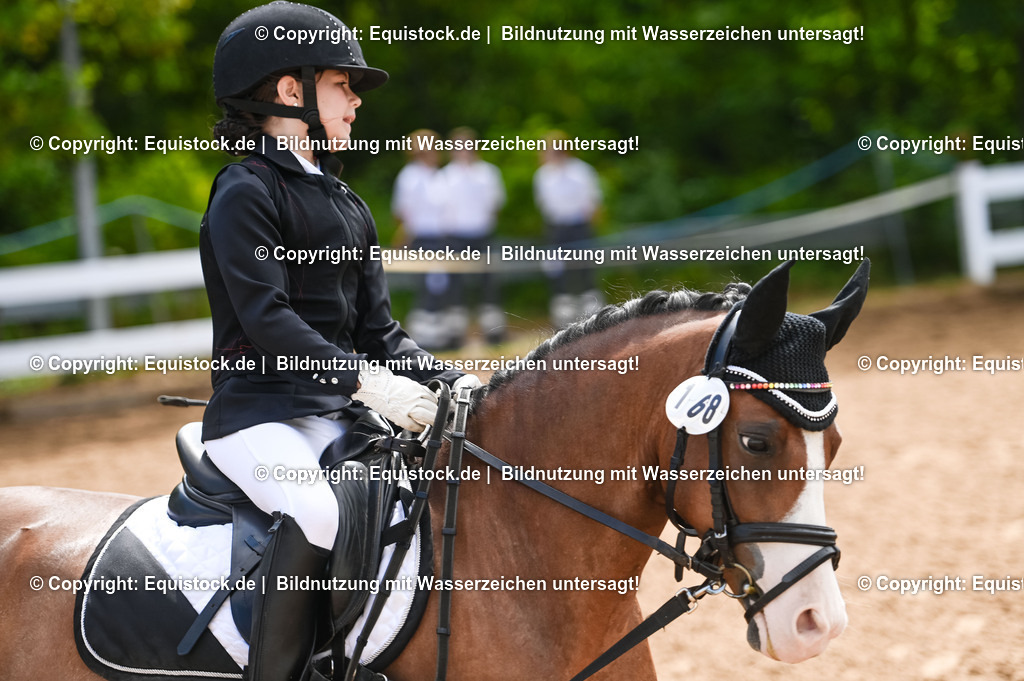 20230716_10-3_Reiter-WB Schritt - Trab - Galopp_0140 | equistock