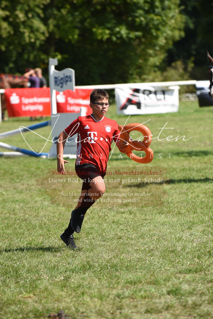 DSC_0382 | Pferde- und Turnierfotografie in Westsachsen. Pferdeportraits, Auftragszeichnungen und intuitive Kunst.