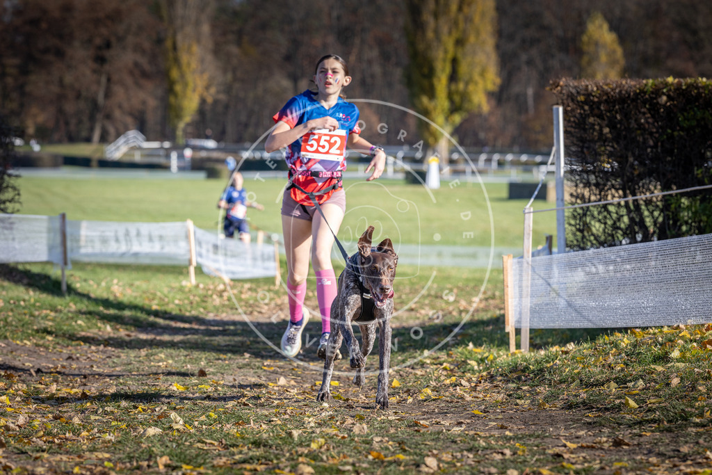 CaniXpix_DV3A8510 | Hundefotografie, Tierfotograf, Pfotenfotografie, Fotoshooting Hund, Hunde Portrait, Hundesport, Hundeportraits, Heideshooting, Hunde, Sportfotograf, Hundefotograf, Turnierhundsport, THS,  - Realisiert mit Pictrs.com