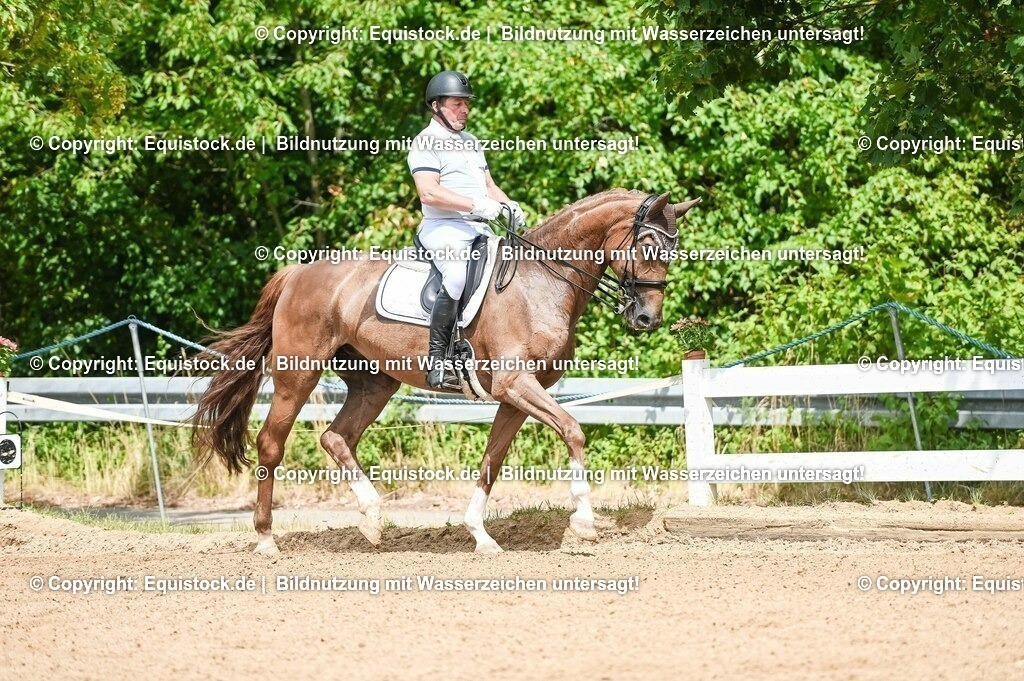 20230716_01_Dressurprüfung Kl.M_0079 | equistock