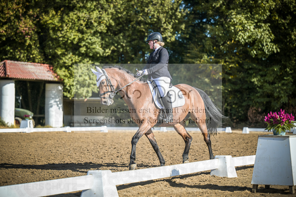 DOS_0934 | Entdecke hochwertige Reitturnierfotos von Foto Oger. Professionell, emotional und authentisch – jetzt Lieblingsmomente im Shop bestellen.Deutschlandweite Turnierfotografie. - Realisiert mit Pictrs.com