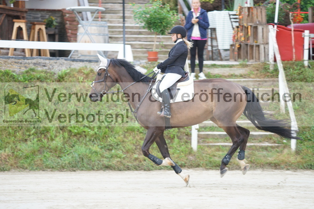 DSC09728 | equestrian-live-com