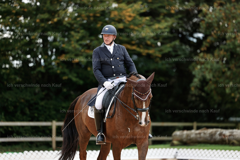11-092-Dressur S___-StoibPH-1335 | working equitationturnier fotograf videograf stoibphotography marixx film working equitation deutschland reitsport turnierfotografie eventfotografie equestrian events