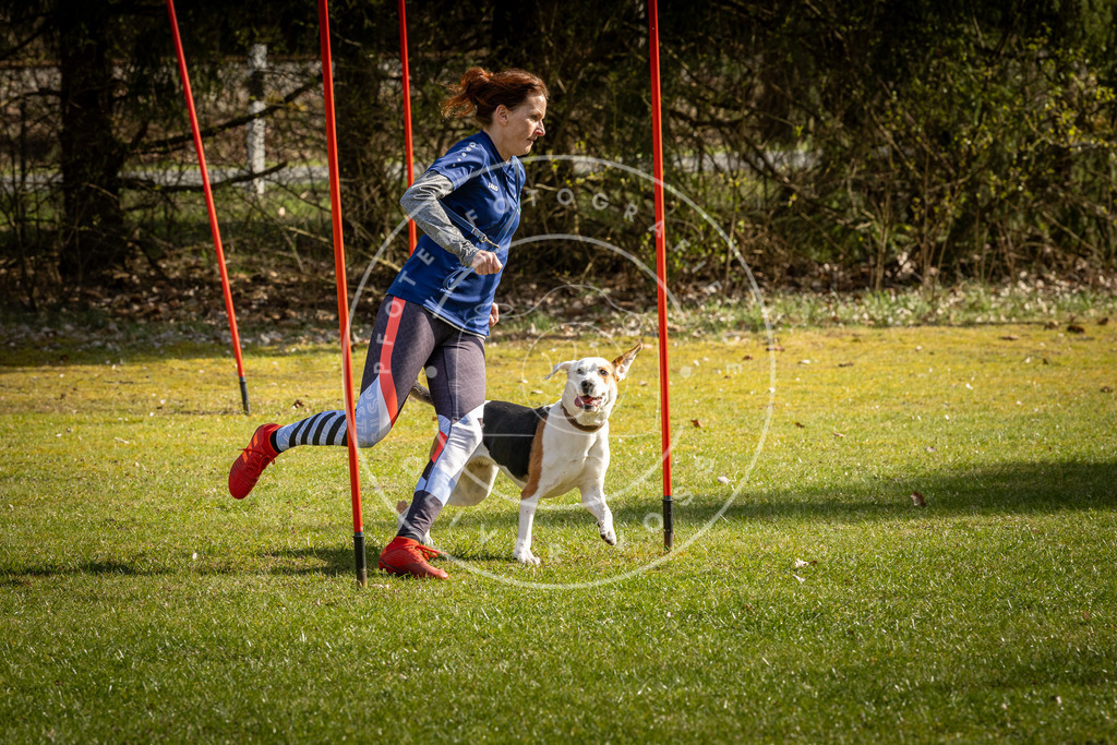 Pfotenfotografie_DV3A1890 | Hundefotografie, Tierfotograf, Pfotenfotografie, Fotoshooting Hund, Hunde Portrait, Hundesport, Hundeportraits, Heideshooting, Hunde, Sportfotograf, Hundefotograf, Turnierhundsport, THS,  - Realisiert mit Pictrs.com
