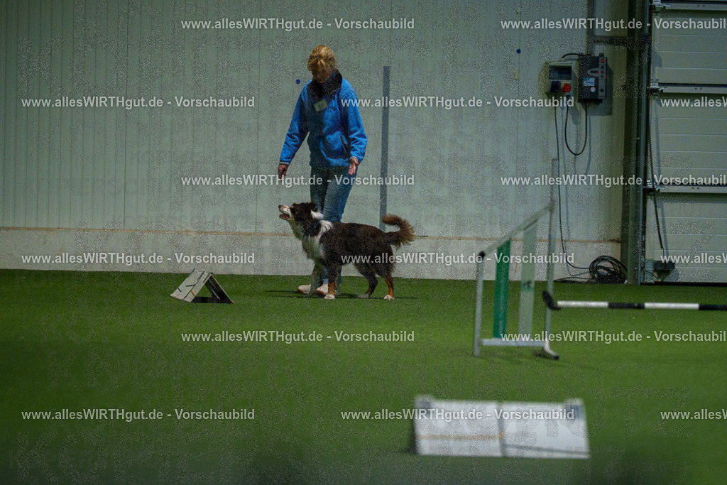 7R505106 | Professionelle Tierfotografie in Mönchengladbach von Daniel Wirth (allesWIRTHgut). Liebevolle & natürliche Bilder von Hunden & Katzen für unvergessliche Erinnerungen.