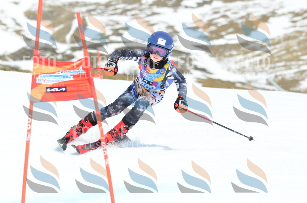 _ELE2714 | holidayphoto