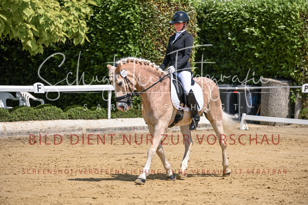 Schugtsche-Aluta25-53.Amat.Dressurprf.A2-383 | Schugtsche Fotografie - Realisiert mit Pictrs.com
