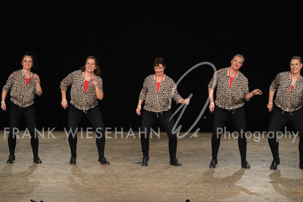 steppdm22_5103 | FRANK WIESEHAHN MEDIA - Realisiert mit Pictrs.com