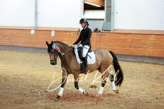 _62_7356 | Turniersportfotografie; Pferdefotografie; Dressurfotografie