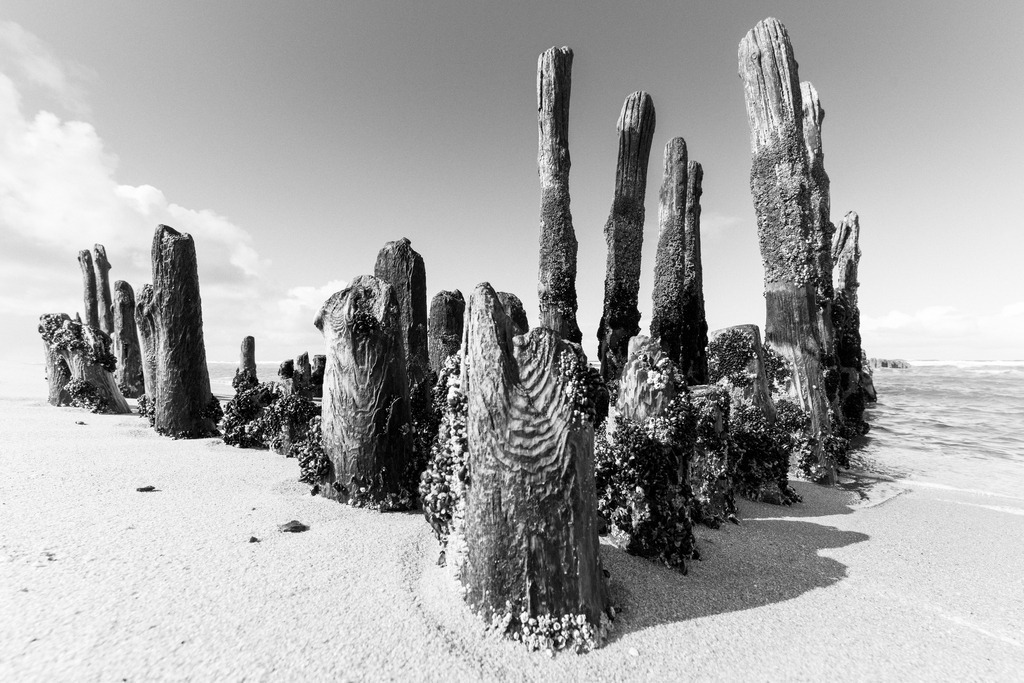 Sylt | Simone Sonderegger Photography