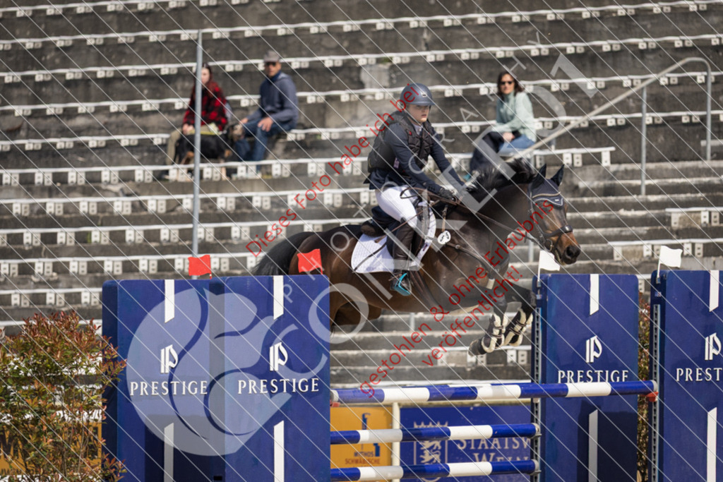 IMG_4571 | Sport-, Event- und Tierfotos in Profiqualität. Einfach auswählen, bestellen und herunterladen. Dein Moment – perfekt festgehalten.
