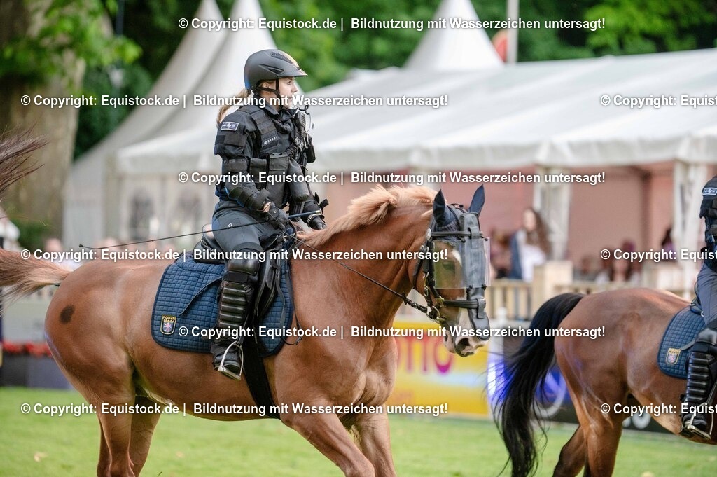 20250606_Lange-Pferdenacht_0733 | Foto: Thomas Hartig