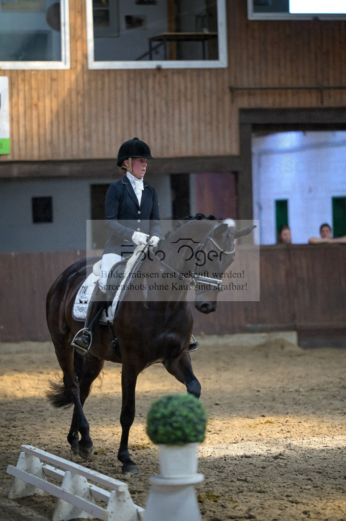 Reitturnier Voxtrup | Entdecke hochwertige Reitturnierfotos von Foto Oger. Professionell, emotional und authentisch – jetzt Lieblingsmomente im Shop bestellen.Deutschlandweite Turnierfotografie. - Realized with Pictrs.com