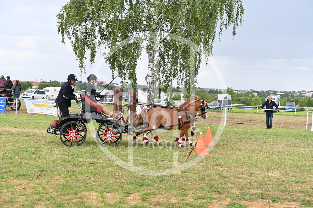 DSC_4511 | sattelsport - Realisiert mit Pictrs.com