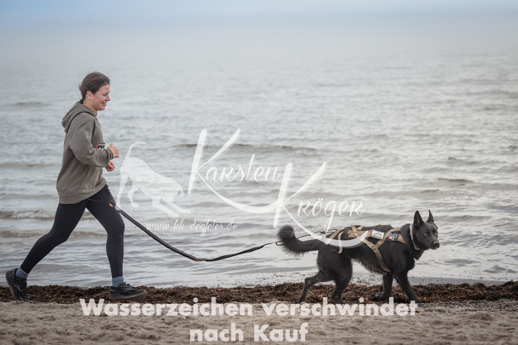 1149_ZZ91902 | kk-dogfotos