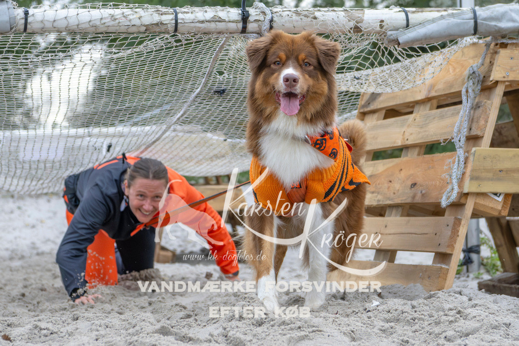 1123_ZZ96457 | kk-dogfotos