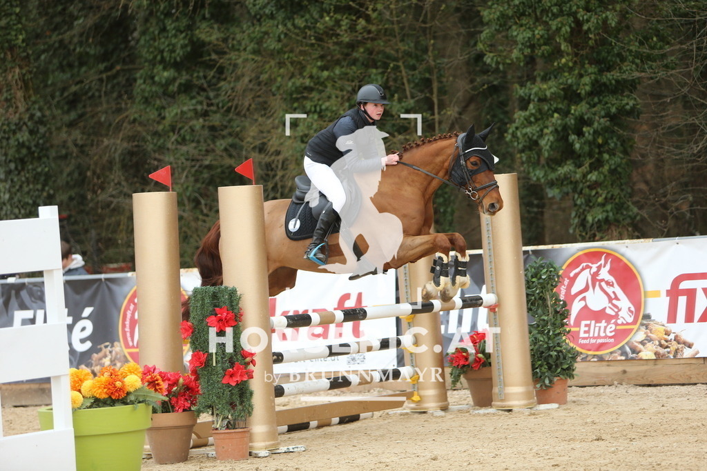 DL2Q6546 | Willkommen bei Brunnmayr - Design & Fotografie – Ihrem Spezialisten für Reitturniere und Pferdeveranstaltungen in Oberösterreich, Salzburg und Bayern! Seit über 17 Jahren sind wir leidenschaftlich dabei.