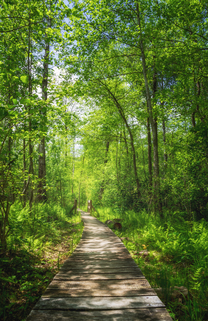 Poleski Nationalpark 2 | Polen - Realisiert mit Pictrs.com