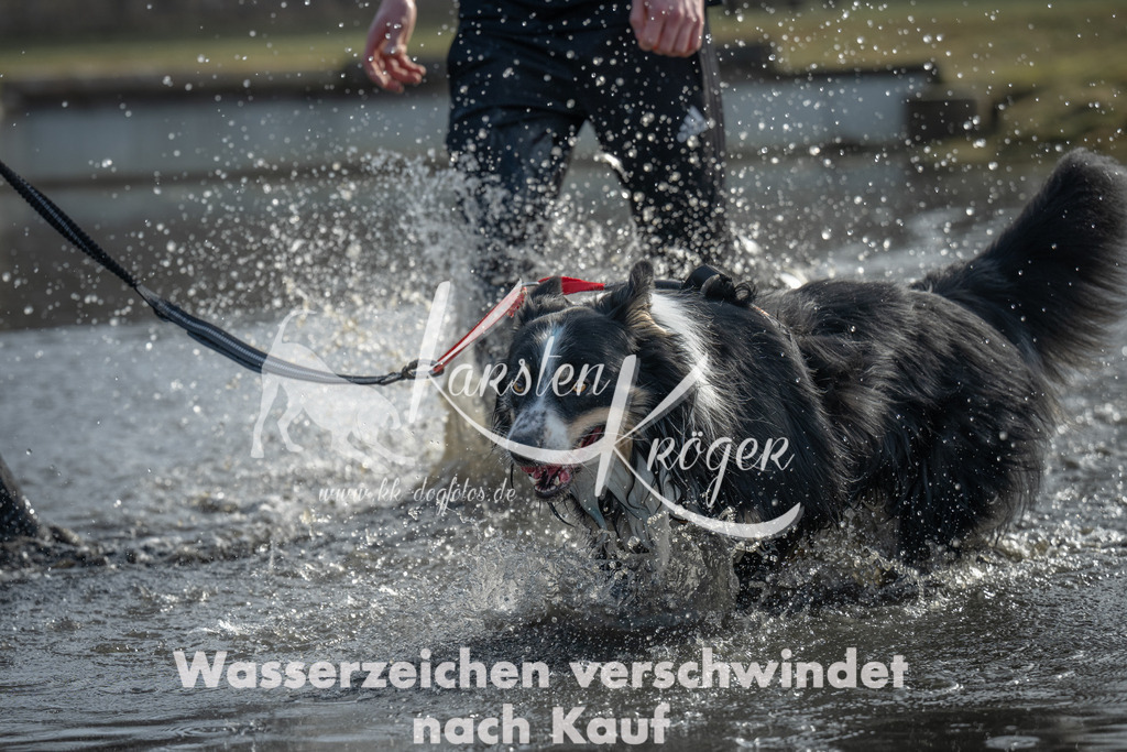 1055_ZZ90670 | kk-dogfotos