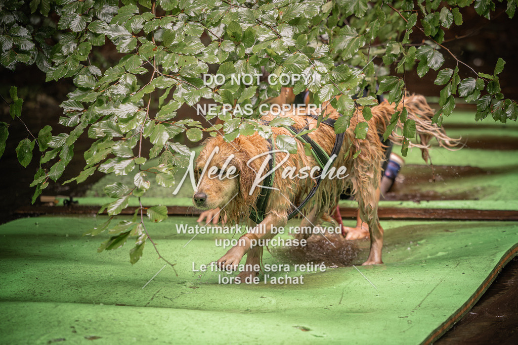 nelerasche_Wingst_Sa1330-1400_333 | nelerasche