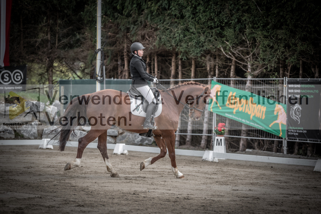 DSC_8894 | equestrian-live-com
