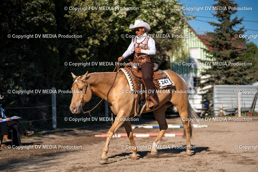 Balingen Tag 2-383 | dv-media-shop - Realisiert mit Pictrs.com