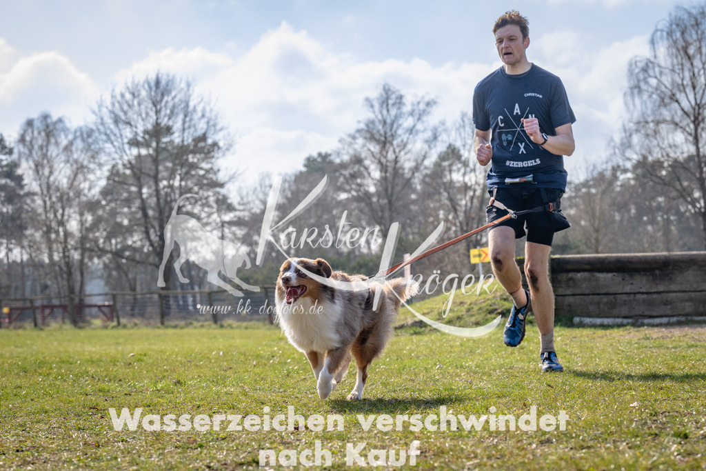 _ZZ91417 | kk-dogfotos