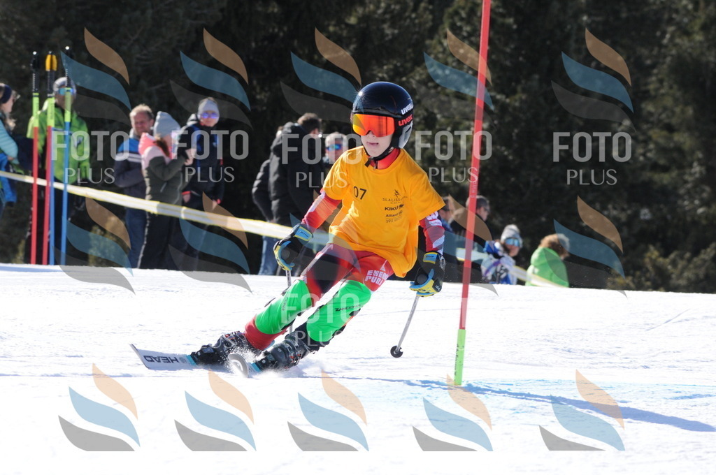 C7110 | holidayphoto