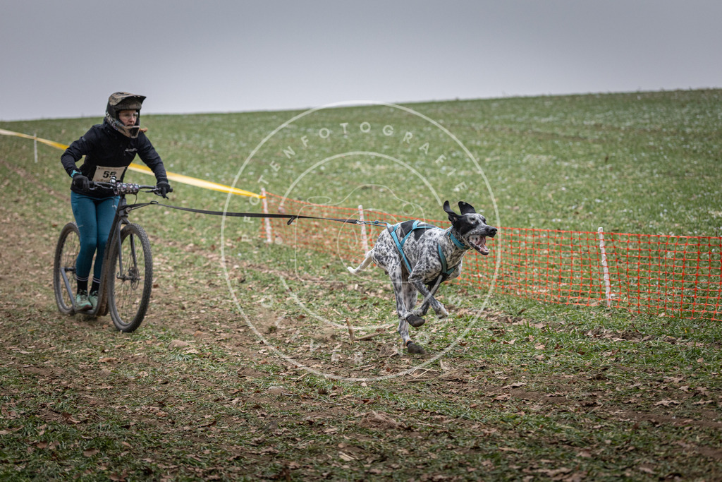 Pfotenfotografie_DV3A1206 | Hundefotografie, Tierfotograf, Pfotenfotografie, Fotoshooting Hund, Hunde Portrait, Hundesport, Hundeportraits, Heideshooting, Hunde, Sportfotograf, Hundefotograf, Turnierhundsport, THS,  - Realisiert mit Pictrs.com