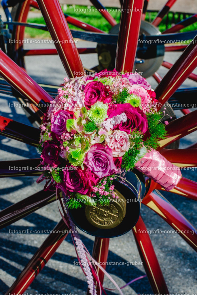 1005 | Fotografie Constance Gruber - Realisiert mit Pictrs.com