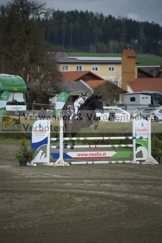 _DSC7877 | equestrian-live-com