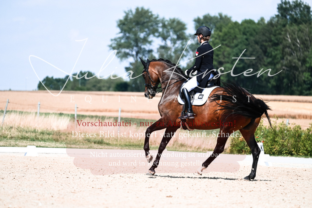 DSC_3082 | Pferde- und Turnierfotografie in Westsachsen. Pferdeportraits, Auftragszeichnungen und intuitive Kunst.