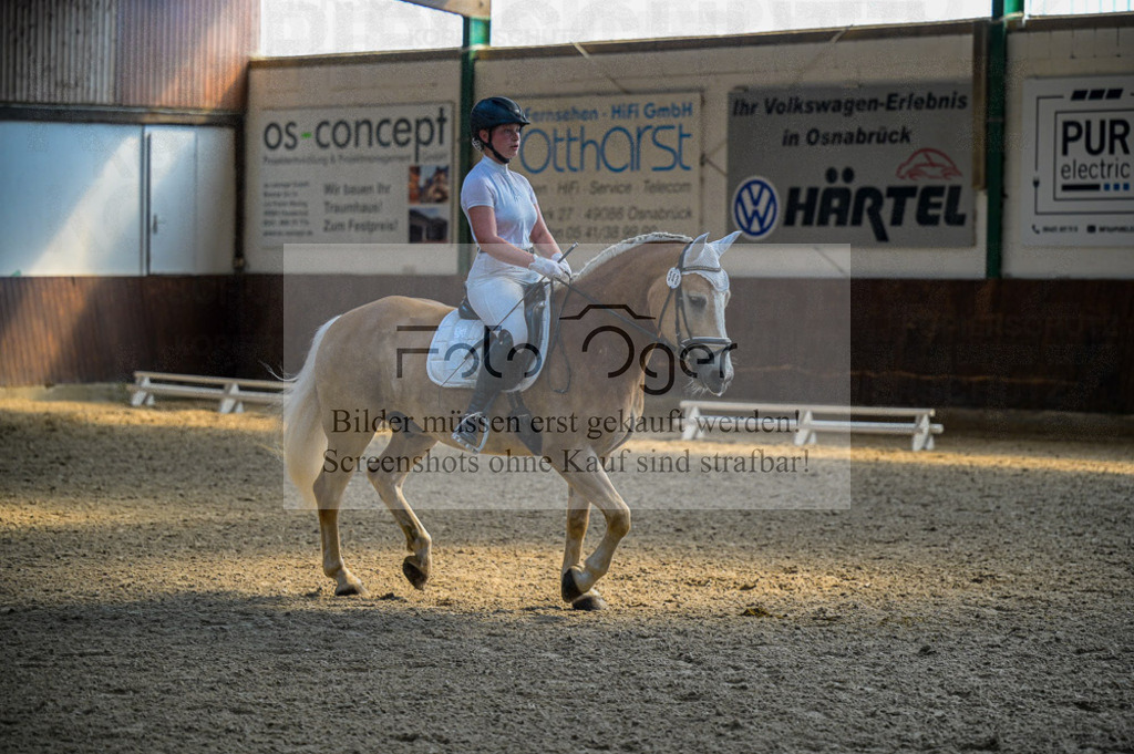 Reitturnier Voxtrup | Entdecke hochwertige Reitturnierfotos von Foto Oger. Professionell, emotional und authentisch – jetzt Lieblingsmomente im Shop bestellen.Deutschlandweite Turnierfotografie. - Realisiert mit Pictrs.com
