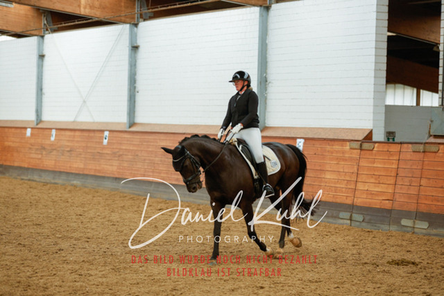 _62_6274 | Turniersportfotografie; Pferdefotografie; Dressurfotografie