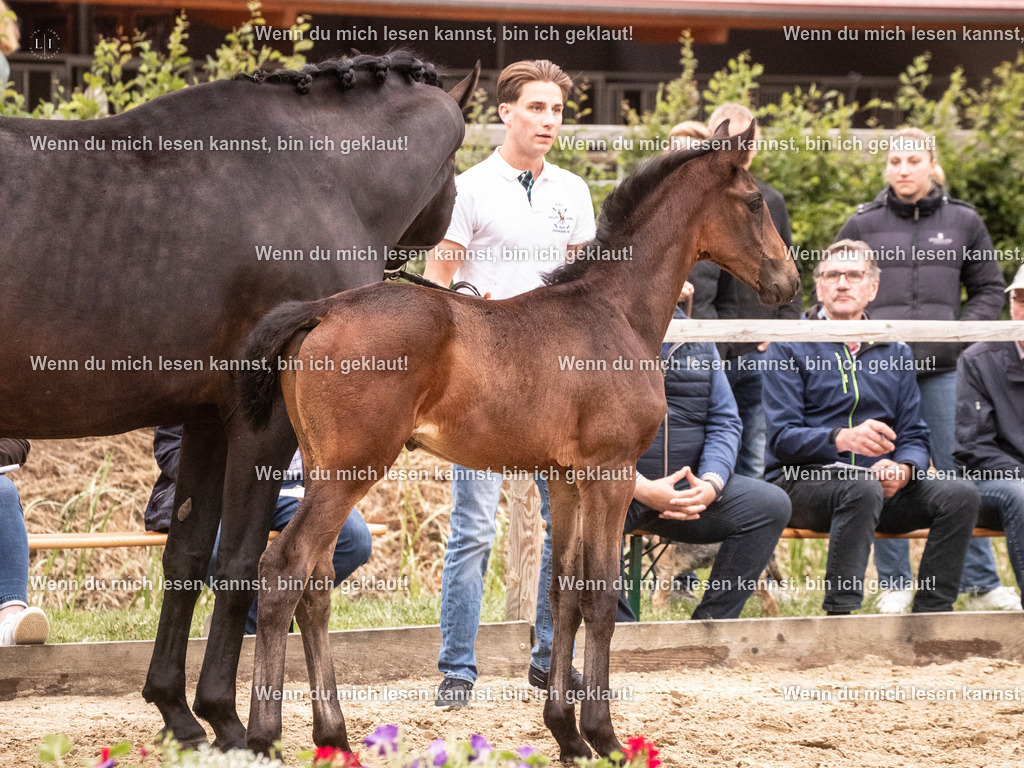 A10I6041 | photographylinaismer - Realisiert mit Pictrs.com