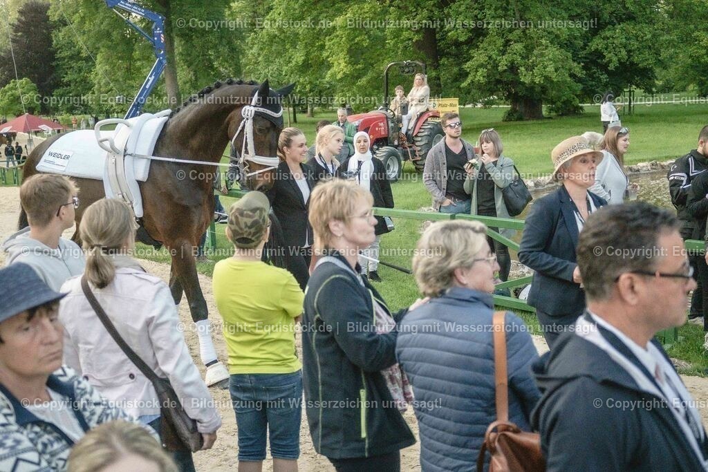 20230527_Voltigieren_NASPA_Flutlicht_0117 | equistock