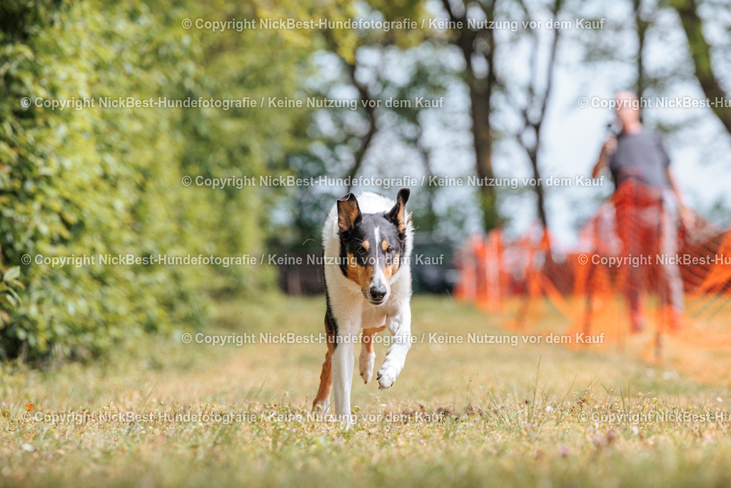 Sage Hunderennen Frühlingsfest-2026-Nickbest-Hundefotografie-0513 | Dein Hund! Dein Moment! Deine Erinnerungen! Hundefotografie in Bremen Blumenthal. Ich fange die besonderen Momente deines Vierbeiners ein – ob Indoor mit Blitzanlage oder in der freien Natur. Sicher dir dein Moment und dein Termin für eure Erinnerungen.