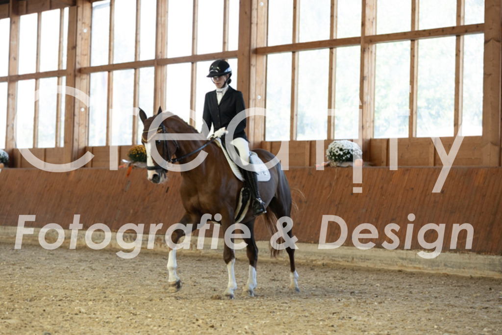 IMG_5236 | Creatify Fotografie