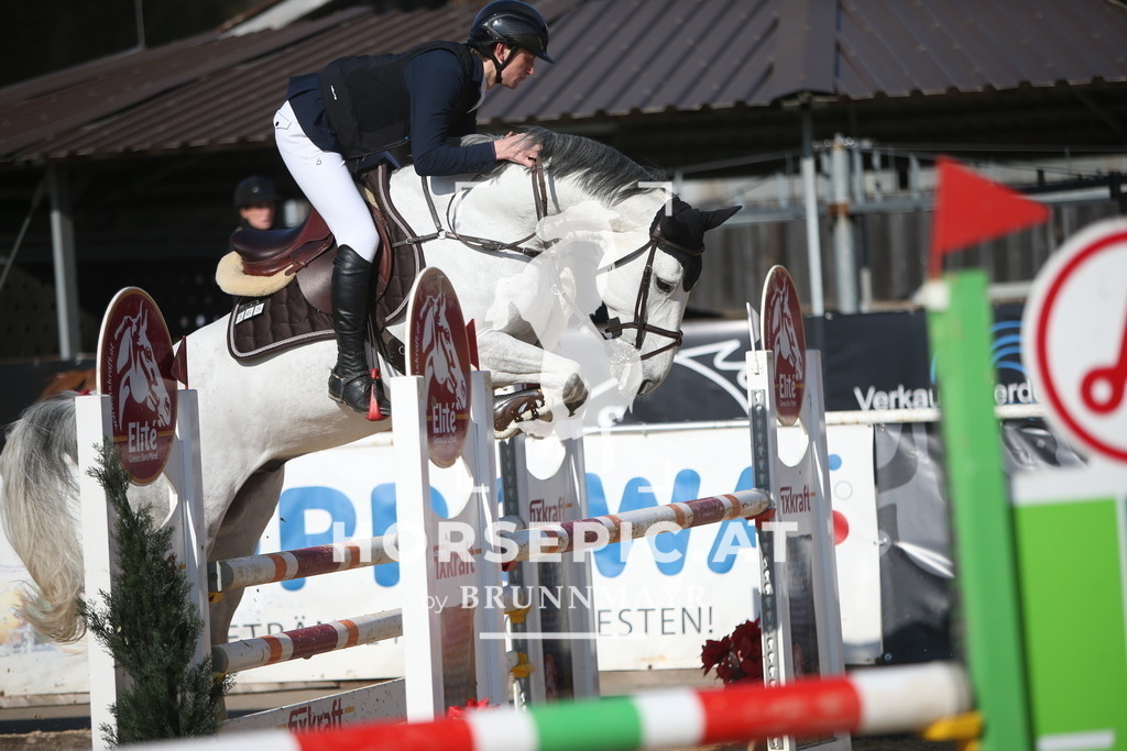 AS8V5328 | Willkommen bei Brunnmayr - Design & Fotografie – Ihrem Spezialisten für Reitturniere und Pferdeveranstaltungen in Oberösterreich, Salzburg und Bayern! Seit über 17 Jahren sind wir leidenschaftlich dabei.