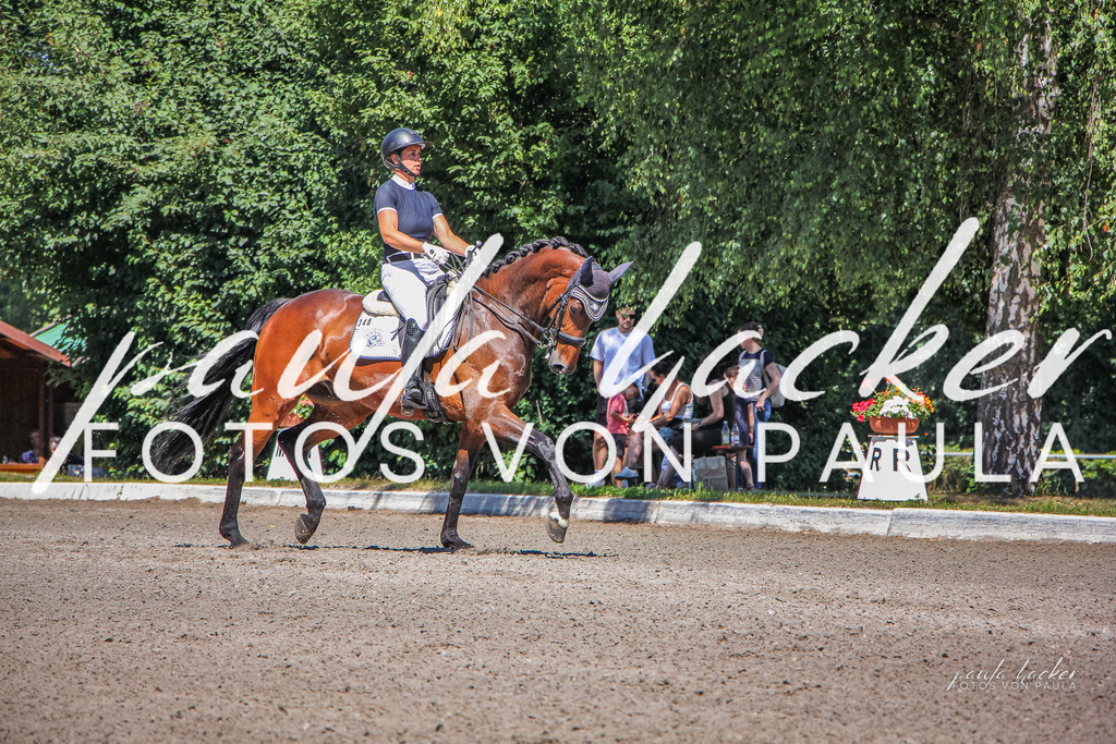 IMG_0394 | Erleben Sie dynamische Sport- und emotionale Tierfotografie in Süddeutschland mit Fotos von Paula. Spezialisiert auf Pferde- und Hundefotografie sowie Sportevents. Kontaktieren Sie mich für einzigartige und ausdrucksstarke Bilder Ihrer besonderen Momente. - Realisiert mit Pictrs.com