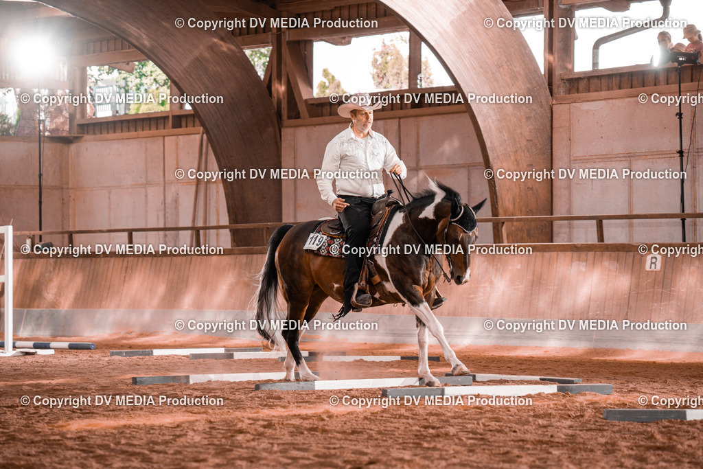 NE300121 | dv-media-shop - Realisiert mit Pictrs.com